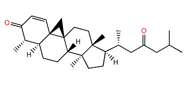 Mozukulin B